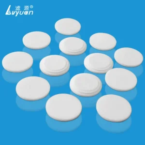 PTFE Sintered Disc Filter for High-Purity Filtration